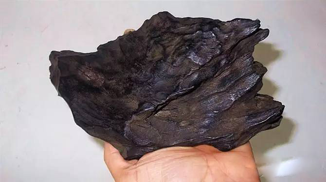 极品网红诱惑一区在线 世界三大顶级珍稀香料