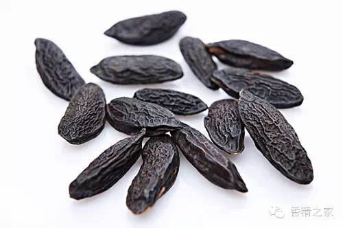 精品国产美女福领在线 常用于制作香水的植物香料