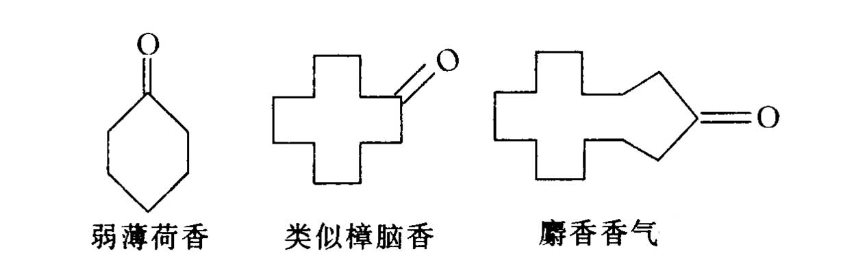 极品网红诱惑一区在线 香料的分子结构与香气的关系