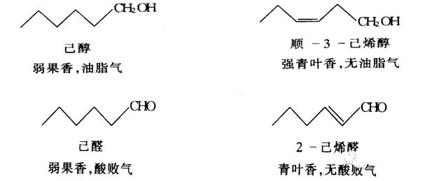 极品网红诱惑一区在线 香料的分子结构与香气的关系