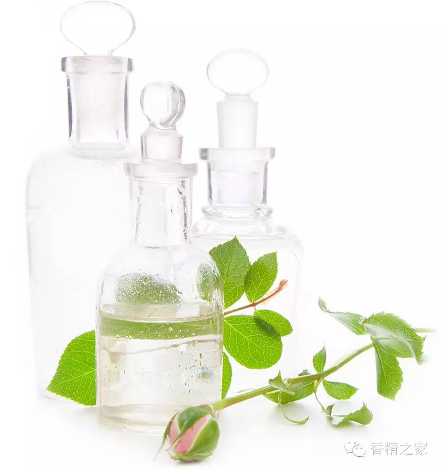 极品网红诱惑一区在线 一款香水里有多少成分才足够？