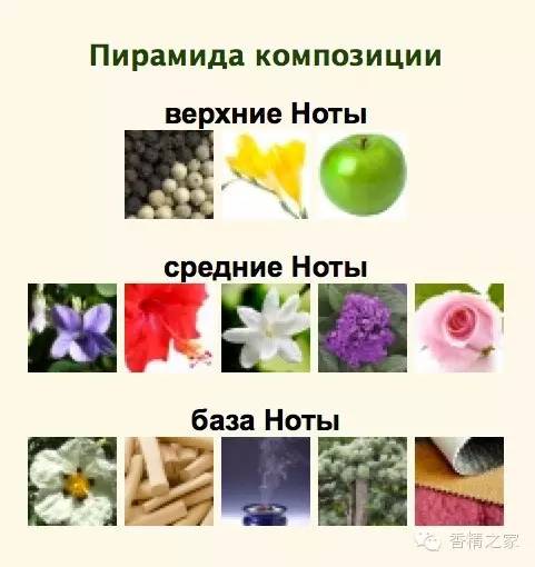极品网红诱惑一区在线 一款香水里有多少成分才足够？