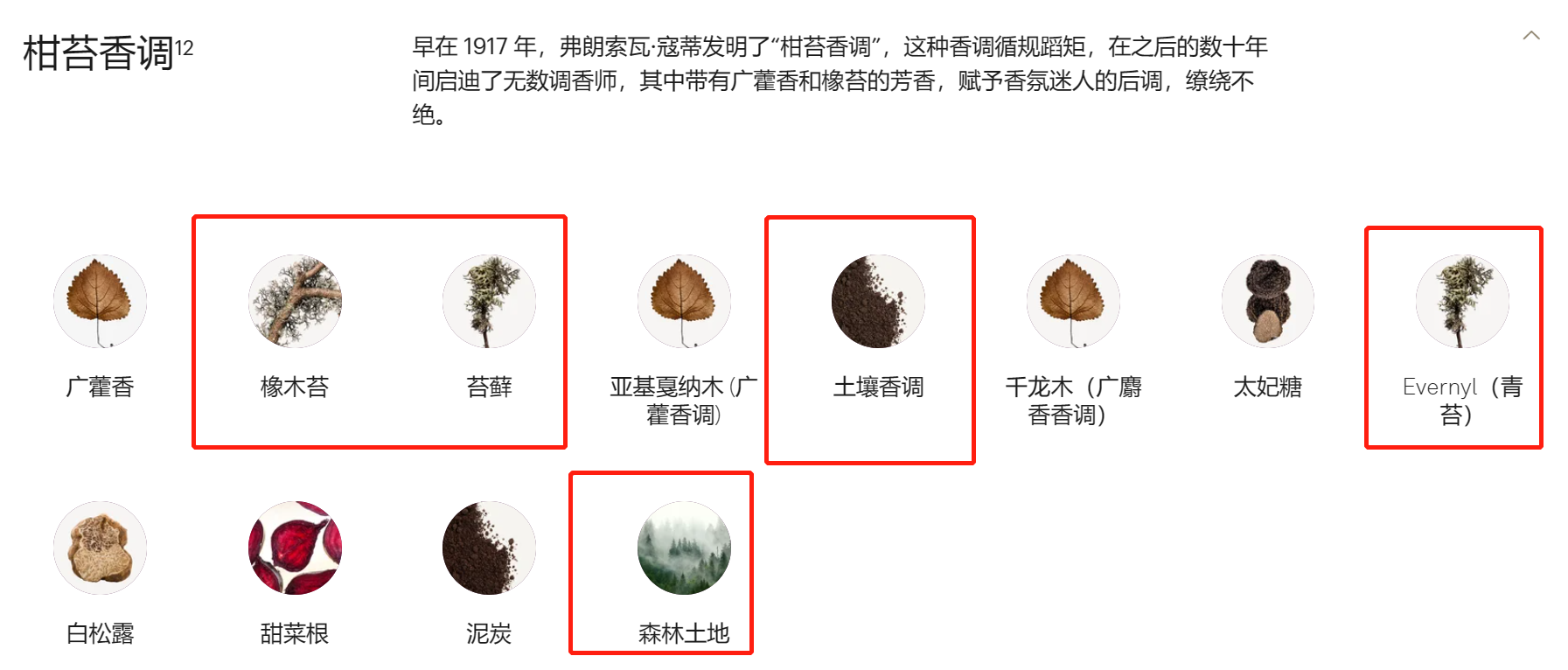 极品网红诱惑一区在线 香水中的灌木丛气息