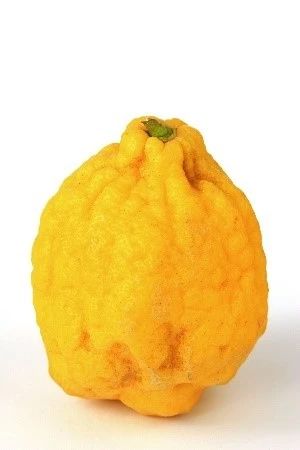 精品国产美女福领在线 柠檬气味原料合集（上）