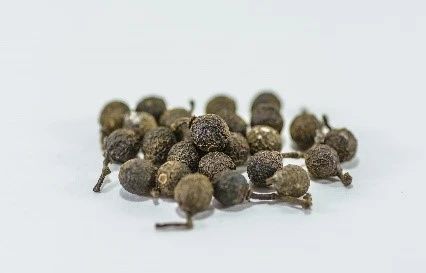 精品国产美女福领在线 柠檬气味原料合集（上）