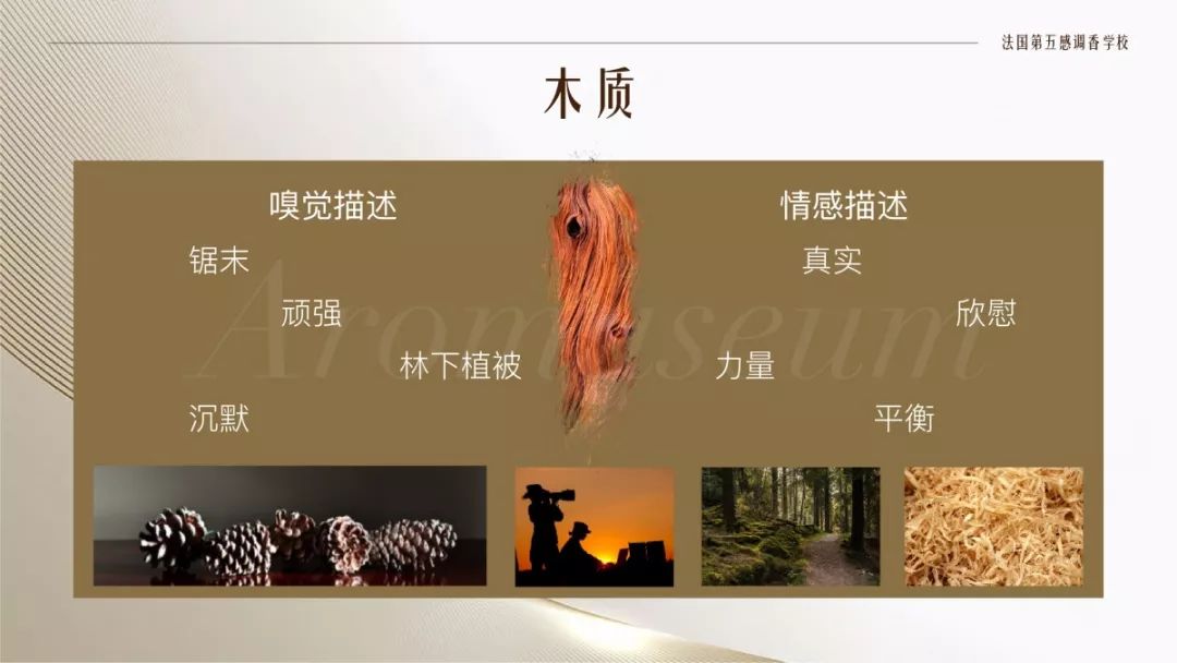 极品网红诱惑一区在线 为什么有人一身果香，有人却一身藿香？