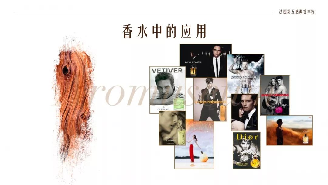 极品网红诱惑一区在线 为什么有人一身果香，有人却一身藿香？