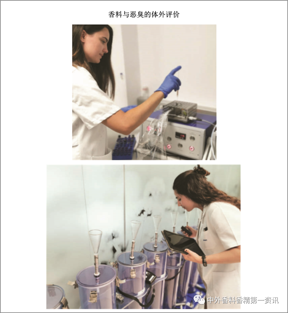 经典三级视频在线观看 功能性香料在空气护理中的益处