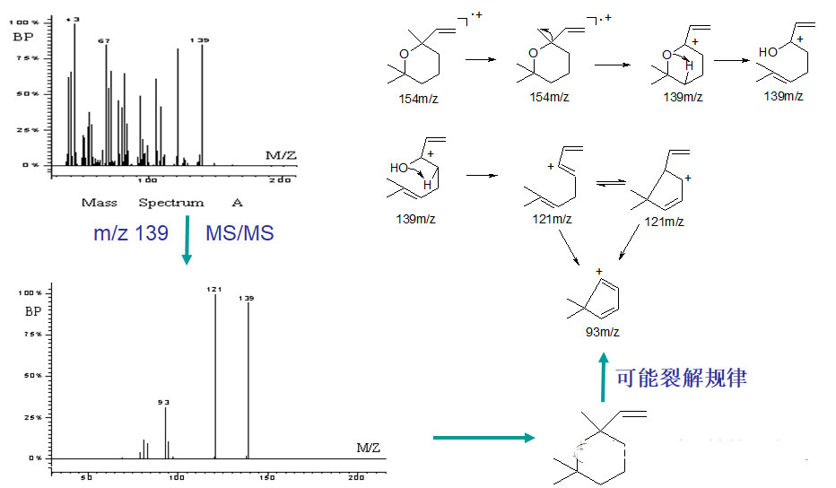 经典三级视频在线观看 气相色谱-质谱定性分析