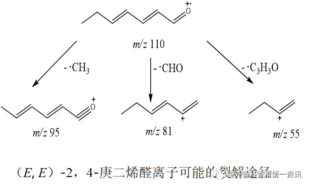 经典三级视频在线观看 气相色谱-质谱定性分析